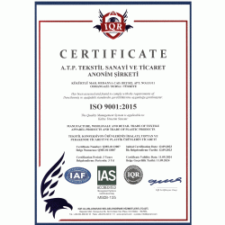 ISO 9001